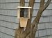 Coveside Woodpecker Suet Feeder