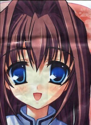 DC ~ Da Capo II ~ Asakura princess bed sheet (japan import)