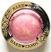 Hard Candy Blush Crush Baked Blush Living Doll (Blush Pink Color)