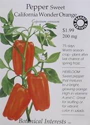 Orange Sweet Pepper Certified Organic Heirloom Seeds