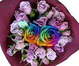 ���C���{�[���[�Y�@�v���e�B�E�A���X �y���z�@���ԑ���