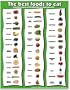 Best Foods to Eat 17" X 22" Laminated Poster