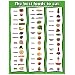 Best Foods to Eat 17" X 22" Laminated Poster