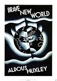 Brave New World by Aldous Huxley Education Poster Print by Leslie Holland, 24x34