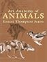 Art Anatomy of Animals (Dover Anatomy for Artists)