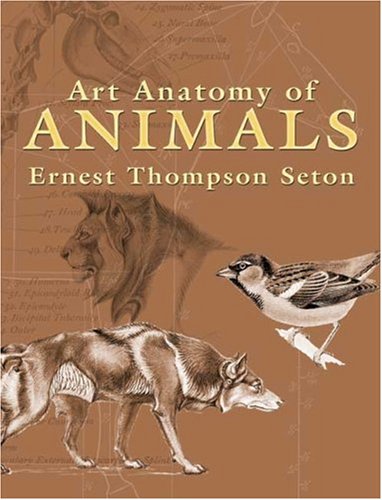 Art Anatomy of Animals (Dover Books on Art Instruction)
