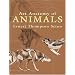 Art Anatomy of Animals (Dover Anatomy for Artists)