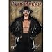 WWE - The Undertaker - Poster (Size: 24'' x 36'')