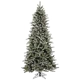 Vickerman 5.5 x 38 Frosted Frasier Fir LED Multi Color Lights Christmas Tree (A101057LED) 18106 275 51UxL6pi3qL. SL160 Vickerman 5.5 x 38 Frosted Frasier Fir LED Multi Color Lights Christmas Tree (A101057LED) 18106 275