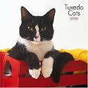 Tuxedo Cats 2008 Square Wall Calendar (Multilingual Edition)