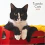 Tuxedo Cats 2008 Square Wall Calendar (Multilingual Edition)