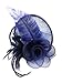 AM CLOTHES Womens Elegant Feather Mesh Flowers Fascinator
