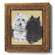 A Study in Contrast - Gold Frame Magnet with pop-out easel (2-3/4" x 2-1/2")