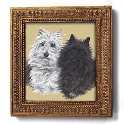 A Study in Contrast - Gold Frame Magnet with pop-out easel (2-3/4" x 2-1/2")