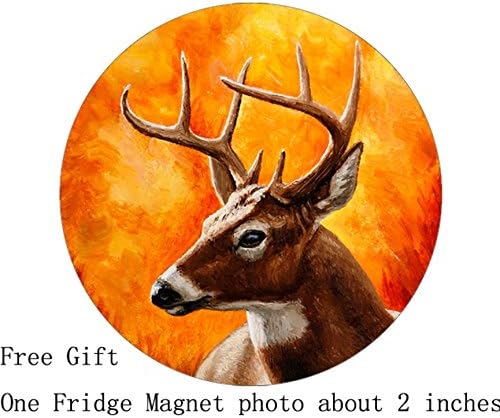 animefans hot anime Heaven's Lost Property Ikaros Durable New OVAL Dog Tag or Cat Tag with Neck Chain Photo (One Side), Dog Tag Size 1.2X2X0.1 inches in Diameter,comes with 30" Inches Inch 2mm Stainless Steel Bead Chain