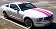 Pink Dual 10" Racing Stripe Kit For Ford Mustang & GT 05-09