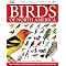 My favorite birding resources (In no order)