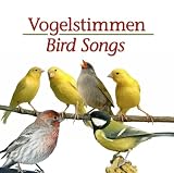 Vogelstimmen