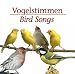 Vogelstimmen