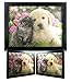 Puppy and Kitten 3D Picture - Best Friends Animal Print - Black Framed Fur Babies Picture Artwork - Holographic Wall Art