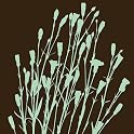 Carnations II Canvas Framed Art- Pistachio on Brown(12x12")