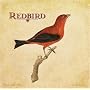 Redbird