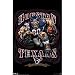 Houston Texans (Mascot, Grinding It Out Since 2002) Sports Poster Print - 22x34