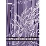 Adventures of Duan Surk, The Volume 4: Opal of Ice & Snow (v. 4)