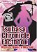 Tsubasa Chronicle Factbook: Mystery, Magic & Mischief (Mysteries and Secrets Revealed)