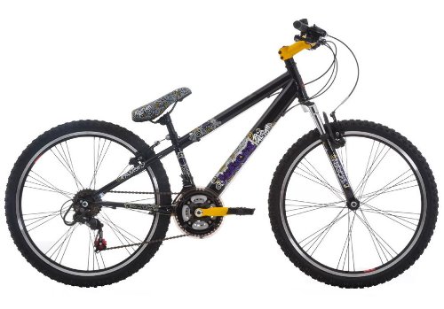 Raleigh 24 Inch Awesome Boys Bike