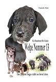 Welpe Nummer 13  Ein Hundekind erz&auml;hlt aus seinem Leben Die Geschichte einer Deutschen Dogge: Ein Buch vom Hund f&uuml;r Kinder - Daniela Behr