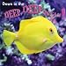 Down in the Deep, Deep Ocean! Image of Down in the Deep, Deep Ocean!