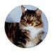 Cat Maine Coon Ornament round porcelain Christmas Great Gift Idea
