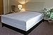 Assure Sleep “Bed Proof” Box Spring Encasement, Zippered Box Spring Cover, Queen Size 60