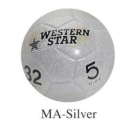 World Cup 2010 - Soccer Ball Size 5 - Metallic Silver