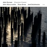 Brewster'S Roosterpar Jack DeJohnette