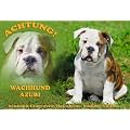 Metall - Warnschild Englische Bulldogge, English, British Bulldog