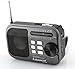 Anncia New Portable FM/AM/SW radio Speaker with Micro TF card and USB flash driver MP3 player. (1106 Grey)