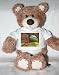 Teddy Bear with buildings, college, walking, university, gateway, woman, architecture, new england, bushes, campus t-shirt
