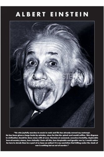 サブカル『ALBERT EINSTEIN/アインシュタイン（モノクロ)《PPS012》』ポスター