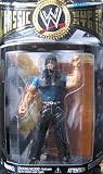 WWE Classic Superstars Wave 22 Action Figure マット・ハーディーイメージ