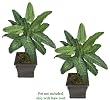 TWO 3' Philodendron Artificial Tropical Plants