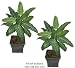 TWO 3' Philodendron Artificial Tropical Plants, with No Pot