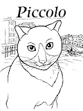 PAPA PICCOLO-Families, Fatherhood, Caring and Nurturing Children's Book (Kindle Text-Only Version)