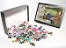 Photo Jigsaw Puzzle of Watering Plants/wanke from Mary Evans