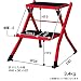 Azumaya Brown Folding Step Stool 17" Height Pc 334 Br Steel RS.15599.00