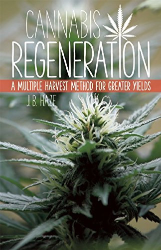 cannabis regeneration a multiple harvest method for greater yields