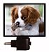 Dog Night Light - Cavalier King Charles Spaniel Puppy - Pet