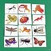 Nature Temporary Tattoos - Insects and Reptiles (6 dz)
