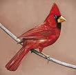 Get Alexisonfire music